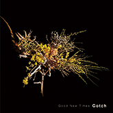 「Good New Times」Gotch