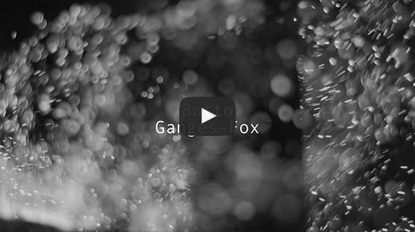 『Ganges-Fox』 Music Video